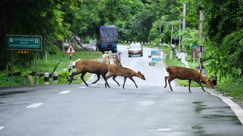Kaziranga Villagers Back Site-Specific Eco-Sensitive Zone Plan, Cite Livelihood Concerns