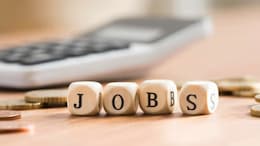 Tata Institute Of Social Sciences Hiring For Multiple Positions, Check Salary, Selection Process