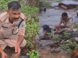 बारिश में पेड़ के नीचे बैठकर दाल-रोटी खा रहा था पुलिसकर्मी, वीडियो देख इमोशनल हुए लोग बारिश में पेड़ के नीचे बैठकर दाल-रोटी खा रहा था पुलिसकर्मी, वीडियो देख इमोशनल हुए लोग