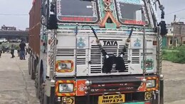 पीडीएस की कालाबाजारी: ब्लैक बिकने जा रहा था 220 बोरी पीडीएस चावल, लोडिंग ट्रक जब्त; खाद्य विभाग कर रहा कार्रवाई