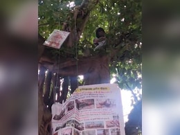 मुंबई: फिल्म निर्देशक ने किया पेड़ पर चढ़कर प्रदर्शन, कहा- पशु कल्याण बोर्ड एनओसी के नाम पर पैसा न लें मुंबई: फिल्म निर्देशक ने किया पेड़ पर चढ़कर प्रदर्शन, कहा- पशु कल्याण बोर्ड एनओसी के नाम पर पैसा न लें