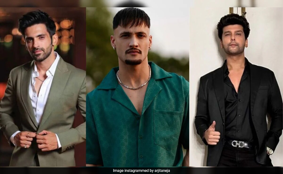 <i>Khatron Ke Khiladi 14</i>: Arjit Taneja, Kushal Tandon Thrash Asim Riaz For His Aggressive Behaviour - "Clearly Deluded"