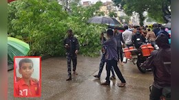 धावत्या स्कुटीवर कोसळलं मोठं झाड; आई-वडिलांसमोर मुलाची तडफड, उपचारदरम्यान मृत्यू