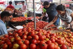 Tomato Price Hike: क्यों महंगा हुआ टमाटर? जनता को कब मिलेगी निजात