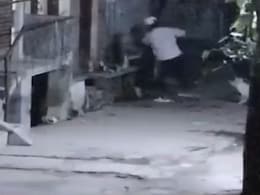 On Camera, Delhi Gym Owner Stabbed 18 Times Outside His Home On Camera, Delhi Gym Owner Stabbed 18 Times Outside His Home