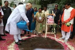 केन्द्रीय गृह मंत्री अमित शाह ने इंदौर में लगाया मां के नाम पेड़