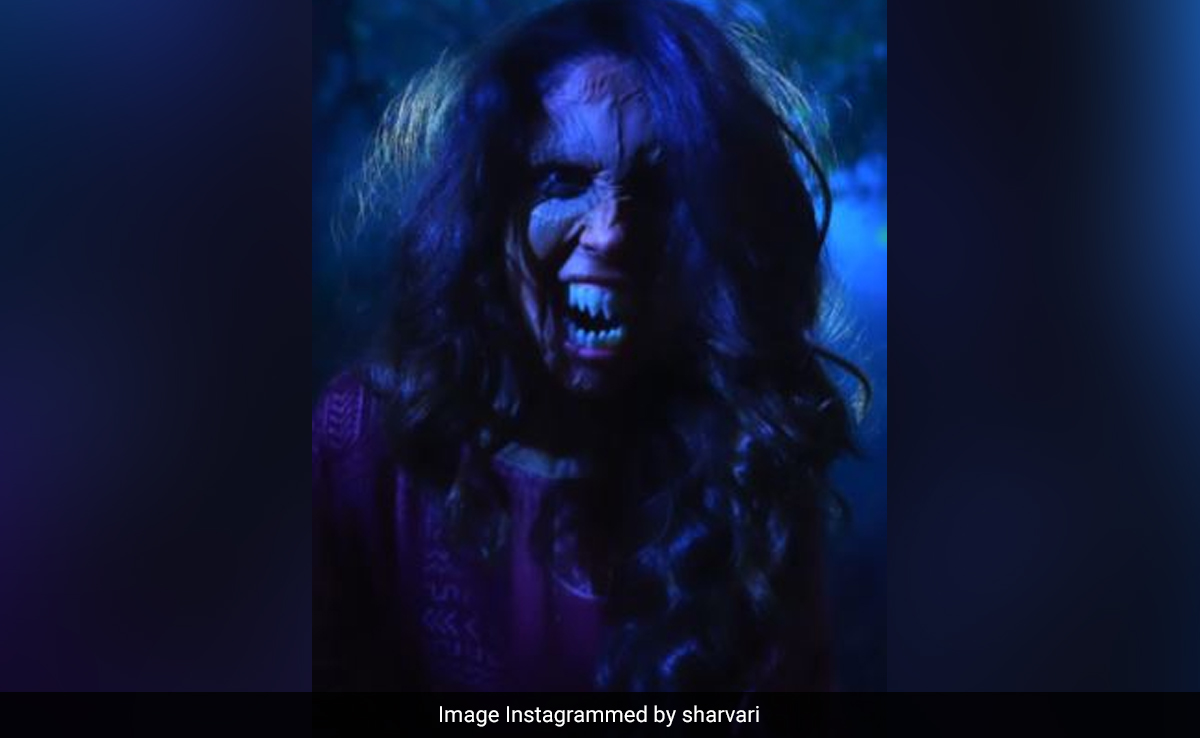BTS Alert: Sharvari's Jaw-Dropping Transformation From Munni To Munjya