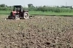 लंबे समय के सूखे के बाद बारिश से किसानों में खुशी, फसल बचने की उम्मीद लंबे समय के सूखे के बाद बारिश से किसानों में खुशी, फसल बचने की उम्मीद