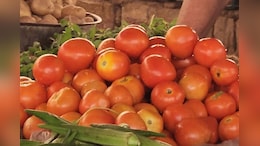 Vegetables Price: राजस्थान में सब्जियों के भाव बढ़े, व्यापारी बोले-अभी और दाम बढ़ने के आसार