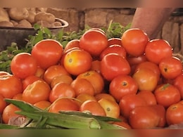 Vegetables Price: राजस्थान में सब्जियों के भाव बढ़े, व्यापारी बोले-अभी और दाम बढ़ने के आसार Vegetables Price: राजस्थान में सब्जियों के भाव बढ़े, व्यापारी बोले-अभी और दाम बढ़ने के आसार