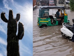 समझ नहीं आ रहा मौसम का मिजाज, राजस्थान में भारी बारिश का अलर्ट तो कश्मीर में चल रही हीटवेव समझ नहीं आ रहा मौसम का मिजाज, राजस्थान में भारी बारिश का अलर्ट तो कश्मीर में चल रही हीटवेव