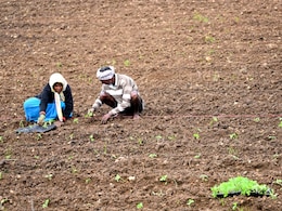100 जिलों में बदलेगी खेती की तस्वीर? कैसे गेमचेंजर साबित होगी प्रधानमंत्री धन धान्य कृषि योजना