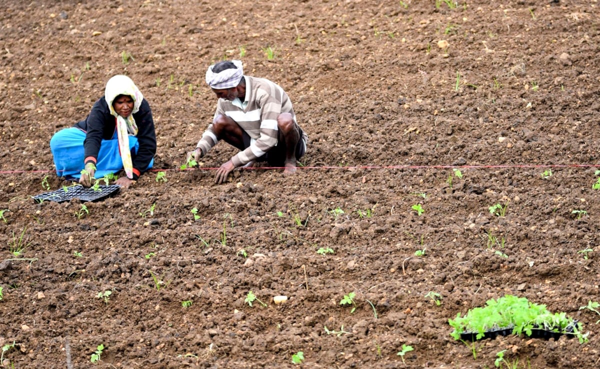 Farmers’ Body Writes To PM Modi, Rahul Gandhi, Demands Law Guaranteeing MSP