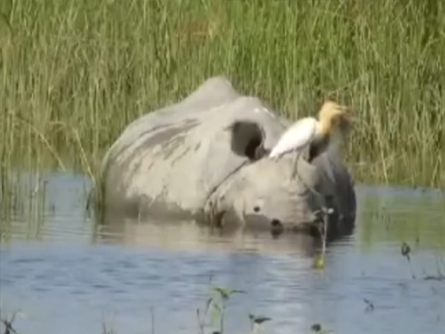 Malena Galletto, 17, Gets Acceptance Letters From All 8 Ivy League Schools