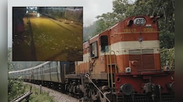 कोकण रेल्वे प्रवाशांसाठी मोठी बातमी, अतिवृष्टीमुळे वाहतूक विस्कळीत; कोणत्या एक्स्प्रेस रद्द? &nbsp;&nbsp;