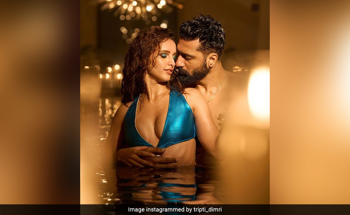 Triptii Dimri Is All Set To Become Your <i>Jaanam</i> In A Blue Cutout Swimsuit