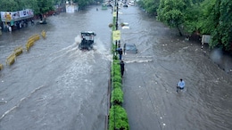 राजस्थान में मानसून फिर सक्रिय, 5 दिन तक इन जिलों में मूसलाधार बारिश का अलर्ट