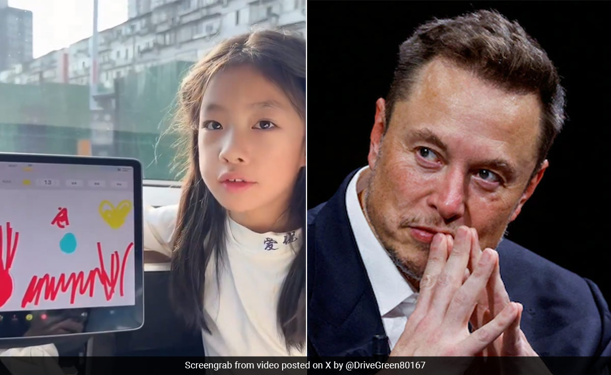 Girl In China Asks Elon Musk To Fix A Bug On Her Tesla Screen, He Reacts
