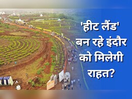 क्यों जरूरी है इंदौर में पौधरोपण? 1951 में एक शख्स के मुकाबले 10 पेड़ थे अब 3 लोगों पर है एक पेड़