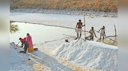 Rajasthan News: बालोतरा में फिर बनेगा नमक, लगेंगे 198 उद्योग; 500 बीघा जमीन आरक्षित
