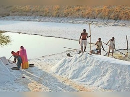 Rajasthan News: बालोतरा में फिर बनेगा नमक, लगेंगे 198 उद्योग; 500 बीघा जमीन आरक्षित