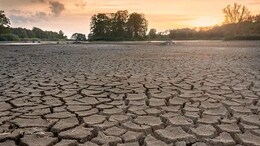 "Increasingly Likely" 2024 Could Be Hottest On Record: EU Climate Monitor