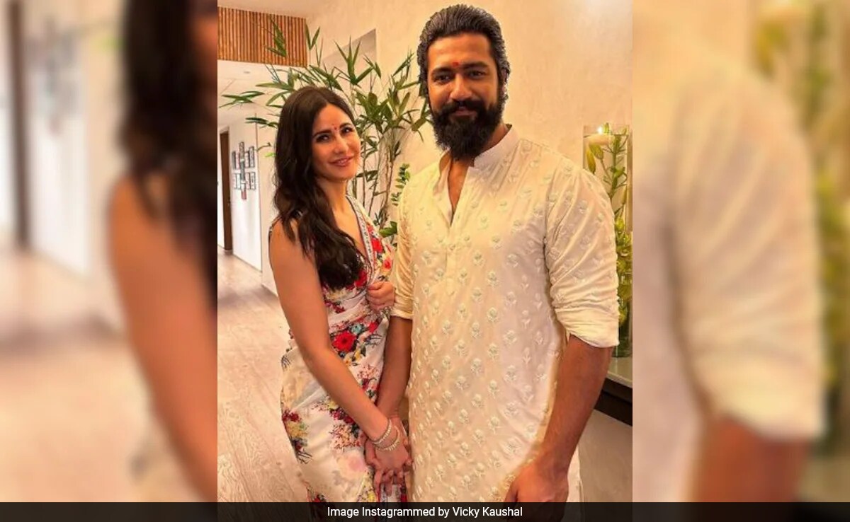 When Will Vicky Kaushal And Katrina Kaif Do A Film Together? <i>Bad Newz</i> Actor Reacts