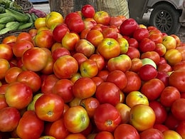 Tomato Price : टोमॅटोला अडीच रुपये किलोचा भाव, वाहतुकीचा खर्चही सुटेना; शेतकरी हवालदिल Tomato Price : टोमॅटोला अडीच रुपये किलोचा भाव, वाहतुकीचा खर्चही सुटेना; शेतकरी हवालदिल
