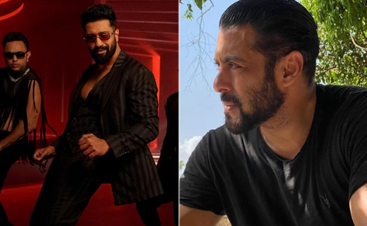 Salman Khan Sends Big Love To Vicky Kaushal's New Song <i>Tauba Tauba</i>: "Great Moves"