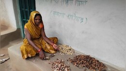 MCB News: पति के मौत के बाद सालों भटकती रही पत्नी, फिर कहीं जाकर ऐसे मिली मुआवजे की राशि