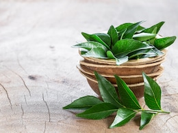 इन लोगों को सुबह खाली पेट जरूर करना चाहिए इस पत्ते के पानी का सेवन