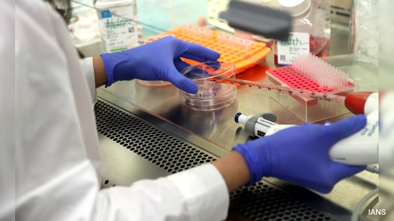 Hope For Skin Disease Patients As Scientists Grow World's 1st Human Skin In Lab