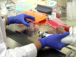 Hope For Skin Disease Patients As Scientists Grow World's 1st Human Skin In Lab Hope For Skin Disease Patients As Scientists Grow World's 1st Human Skin In Lab