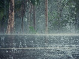 Rain Alert in MP: मध्य प्रदेश पर मानसून मेहरबान, झमाझम बारिश को लेकर IMD का अलर्ट, जानें अपने जिले का हाल