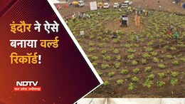 पौधारोपण रिकॉर्ड की इनसाइड स्टोरी: एक रात पहले ऐसे हुई तैयारी, फिर 1 लाख से अधिक इंदौर वासियों ने रच दिया इतिहास