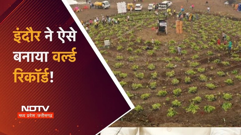 पौधारोपण रिकॉर्ड की इनसाइड स्टोरी: एक रात पहले ऐसे हुई तैयारी, फिर 1 लाख से अधिक इंदौर वासियों ने रच दिया इतिहास
