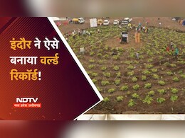 पौधारोपण रिकॉर्ड की इनसाइड स्टोरी: एक रात पहले ऐसे हुई तैयारी, फिर 1 लाख से अधिक इंदौर वासियों ने रच दिया इतिहास पौधारोपण रिकॉर्ड की इनसाइड स्टोरी: एक रात पहले ऐसे हुई तैयारी, फिर 1 लाख से अधिक इंदौर वासियों ने रच दिया इतिहास