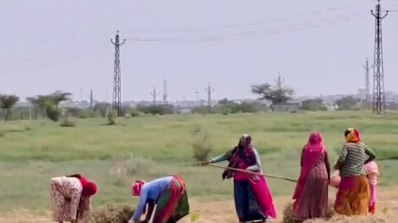 Bikaner: Desert की बदलती तस्वीर, Sujandesar में 50 हजार पौधरोपण का लक्ष्य