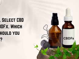 Level Select CBD vs. CBDFx. Which One Should You Avoid?
