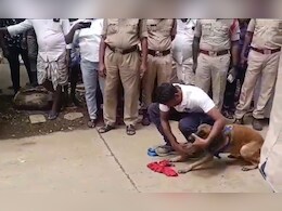 12, 13 साल के तीन छात्रों ने 8 साल की बच्ची के साथ किया रेप, पकड़े जाने के डर से की हत्या 12, 13 साल के तीन छात्रों ने 8 साल की बच्ची के साथ किया रेप, पकड़े जाने के डर से की हत्या