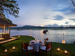 Sri Lanka Is Truly A Paradise Where Sustainability Meets Flavour