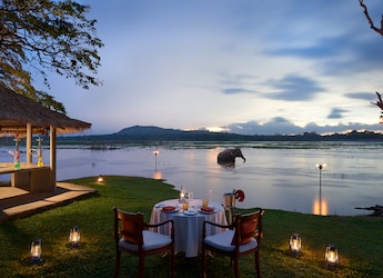 Sri Lanka Is Truly A Paradise Where Sustainability Meets Flavour Sri Lanka Is Truly A Paradise Where Sustainability Meets Flavour
