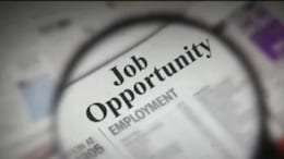 DFCCIL Recruitment 2025: Vacancies Open For 642 Posts Of Junior Manager, Executive And Multi-Tasking Staff