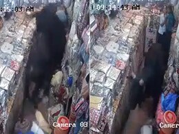 दुकान में बैग खरीद रही थी लड़कियां, तभी लड़ते हुए दुकान के अंदर घुस गए दो सांड, फिर जो हुआ, देखकर थम जाएंगी सांसें दुकान में बैग खरीद रही थी लड़कियां, तभी लड़ते हुए दुकान के अंदर घुस गए दो सांड, फिर जो हुआ, देखकर थम जाएंगी सांसें