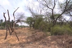 Delhi Tree Cutting Case: Supreme Court Notice To Delhi Police After NGO Alleges Harassment Delhi Tree Cutting Case: Supreme Court Notice To Delhi Police After NGO Alleges Harassment