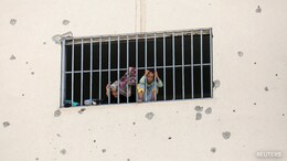 Amid Israel-Hamas War, Gazans Resort To Turtle Meat In Hunt For Food