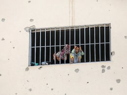 Amid Israel-Hamas War, Gazans Resort To Turtle Meat In Hunt For Food Amid Israel-Hamas War, Gazans Resort To Turtle Meat In Hunt For Food