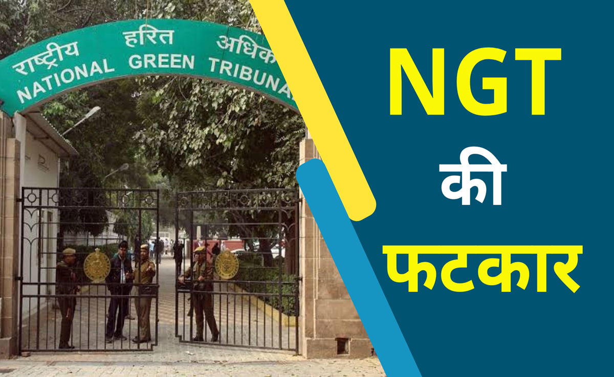 NGT का निर्देश- MP के सभी कलेक्टर ग्रीन पटाखा फर्जीवाडे पर दंडात्मक एक्शन लें, QR कोड भी जांचें