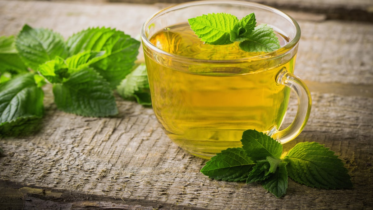 5 Ways Spearmint Tea Can Help Manage Your PCOS Battle