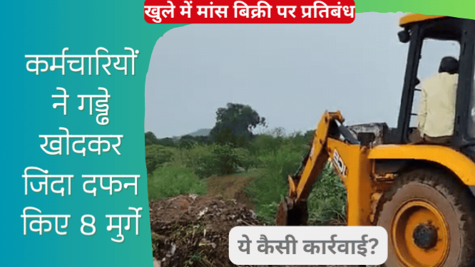 JCB से गड्ढा खोदकर जिंदा मुर्गो को दफनाया, खुले में मांस बिक्री के खिलाफ प्रशासन की कार्रवाई पर उठे सवाल